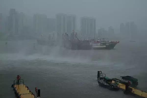 澳门六月台风活动