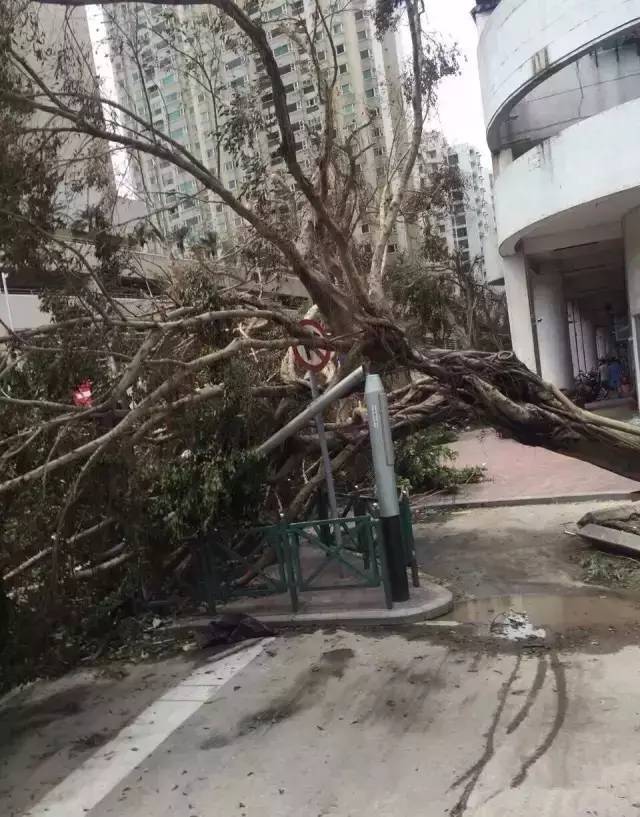 澳门六月台风及其带来的巨大变化