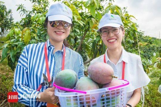 澳门六月雨季的最新情况报道