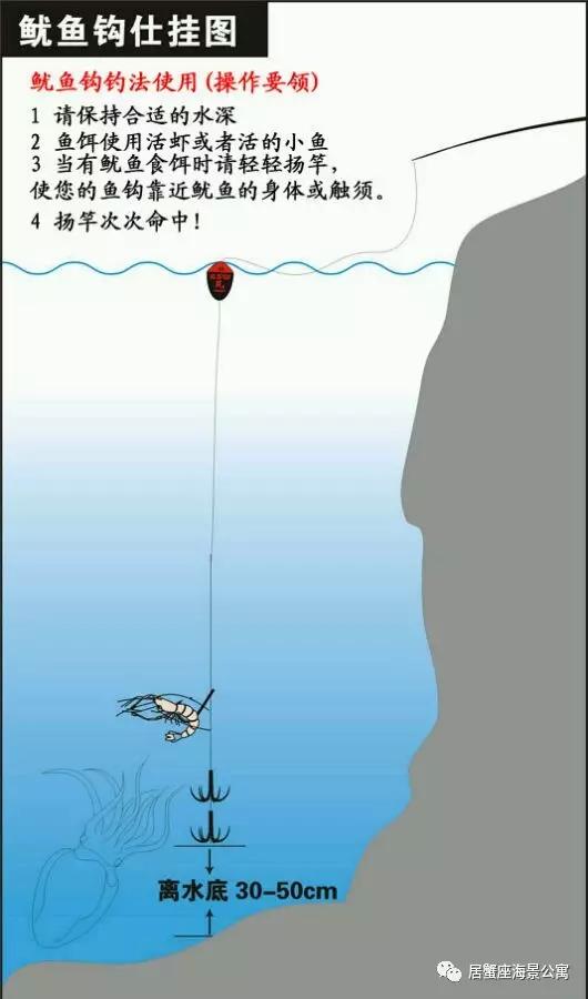 澳门六月气温与钓鱼适宜性分析