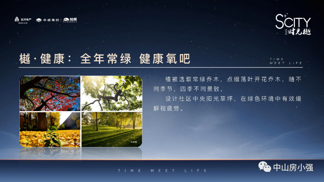 澳门六月天气状况，炎热中的细节解析